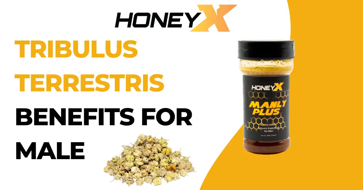 Tribulus Terrestris Benefits for Male